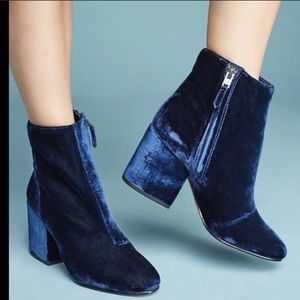 NEW Sam Edelman Navy Suede Booties